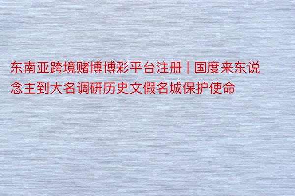 东南亚跨境赌博博彩平台注册 | 国度来东说念主到大名调研历史文假名城保护使命