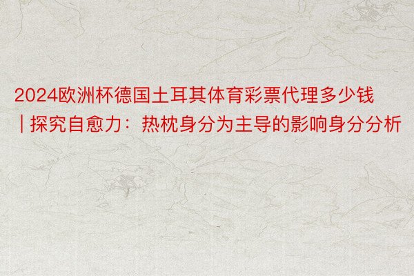 2024欧洲杯德国土耳其体育彩票代理多少钱 | 探究自愈力：热枕身分为主导的影响身分分析