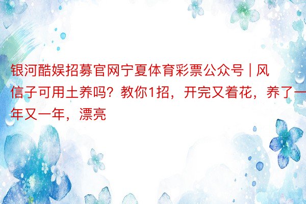 银河酷娱招募官网宁夏体育彩票公众号 | 风信子可用土养吗？教你1招，开完又着花，养了一年又一年，漂亮